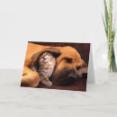 Zoek naar hond schuilplaats kaarten Vriend