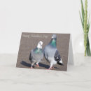Zoek naar liefde duif kaarten Duiven