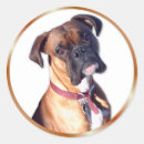 Zoek naar ga weg stickers Schattig