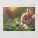 Zoek naar lieveheersbeestje briefkaarten Ladybug