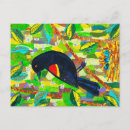 Zoek naar merel posters Boom