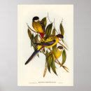 Zoek naar parkiet posters Vintage