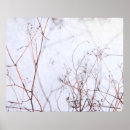Zoek naar sneeuw posters Botanisch