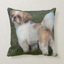 Zoek naar shih tzu kussens Schattig