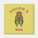 Zoek naar brood magneten Cicada