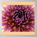 Zoek naar purper posters Paars
