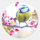Zoek naar mooie vogel stickers Lente