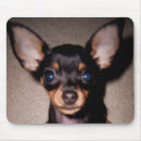 Zoek naar mini muismatten Honden