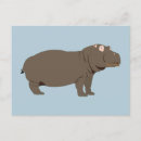 Zoek naar hippo briefkaarten Oerwoud