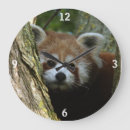 Zoek naar rode panda geschenken China