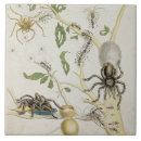 Zoek naar marine life tegels Reptielen