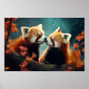 Zoek naar rode panda posters Natuur