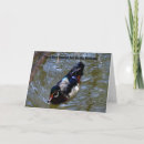 Zoek naar trots zoon kaarten Liefde