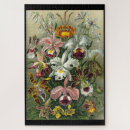 Zoek naar haeckel puzzels Kunstformen der natur