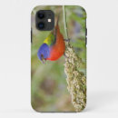 Zoek naar mannetje iphone hoesjes Vogel