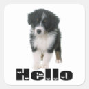 Zoek naar australische herder stickers Puppy