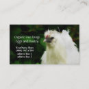 Zoek naar kuiken visitekaartjes Hen