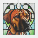 Zoek naar rhodesian ridgeback ornamenten Hond