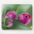 Zoek naar tulip muismatten Paars