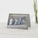 Zoek naar pinguïns kaarten Elk persoon