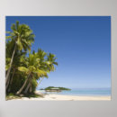 Zoek naar polynesische posters Stille oceaan