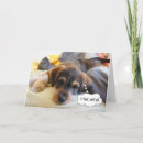 Zoek naar sick kaarten Hond