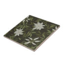 Zoek naar stof tegels Groen