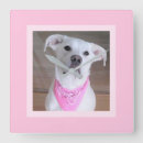 Zoek naar positief klokken Gelukkig