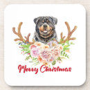 Zoek naar milieuvriendelijk onderzetters Schattig  voor honden