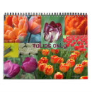 Zoek naar tulpen kalenders Paars