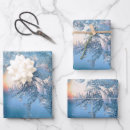Zoek naar kristal cadeaupapier Winter