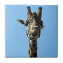 Zoek naar giraffe tegels Schattig