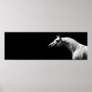 Zoek naar werk paarden posters Voor haar