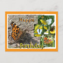 Zoek naar vlinder verjaardag briefkaarten Elk persoon