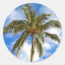 Zoek naar palmboom stickers Eiland
