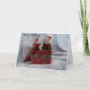 Zoek naar kwik kaarten Vakantiekaart