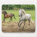 Zoek naar paarden muismatten Baai