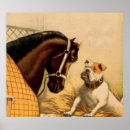 Zoek naar engelse buldog posters Elk persoon