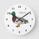 Zoek naar wilde eend klokken Vogels
