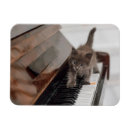 Zoek naar piano magneten Katten