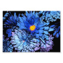 Zoek naar 7x5 posters Afdrukken