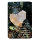 Zoek naar naalden magneten Natuur