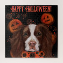 Zoek naar springer spaniel puzzels Spaniël