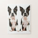Zoek naar boston terrier puzzels Grappig