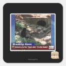 Zoek naar toegang stickers Ik kan cheezburger hebben