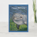 Zoek naar zwemmen kaarten Voor kinderen