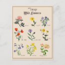 Zoek naar victoriaans bloemen briefkaarten Voor haar