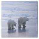 Zoek naar zorg tegels Buiten