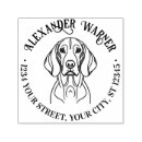 Zoek naar hongaars borden Hond