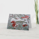 Zoek naar hippy kaarten Kerstmis
